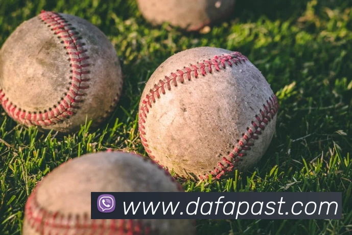 大发官网服务体系